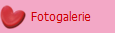 Fotogalerie